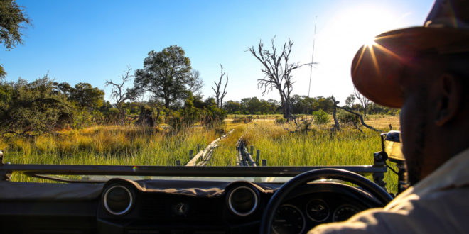 Pirschfahrt im Okavango-Delta