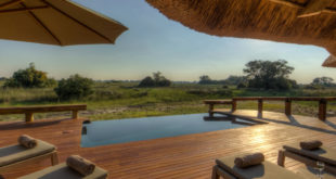 Camp Okavango, Pool