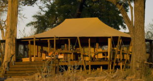 Linyanti Bush Camp: Boma