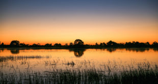 Sonnenuntergang im Okavango-Delta